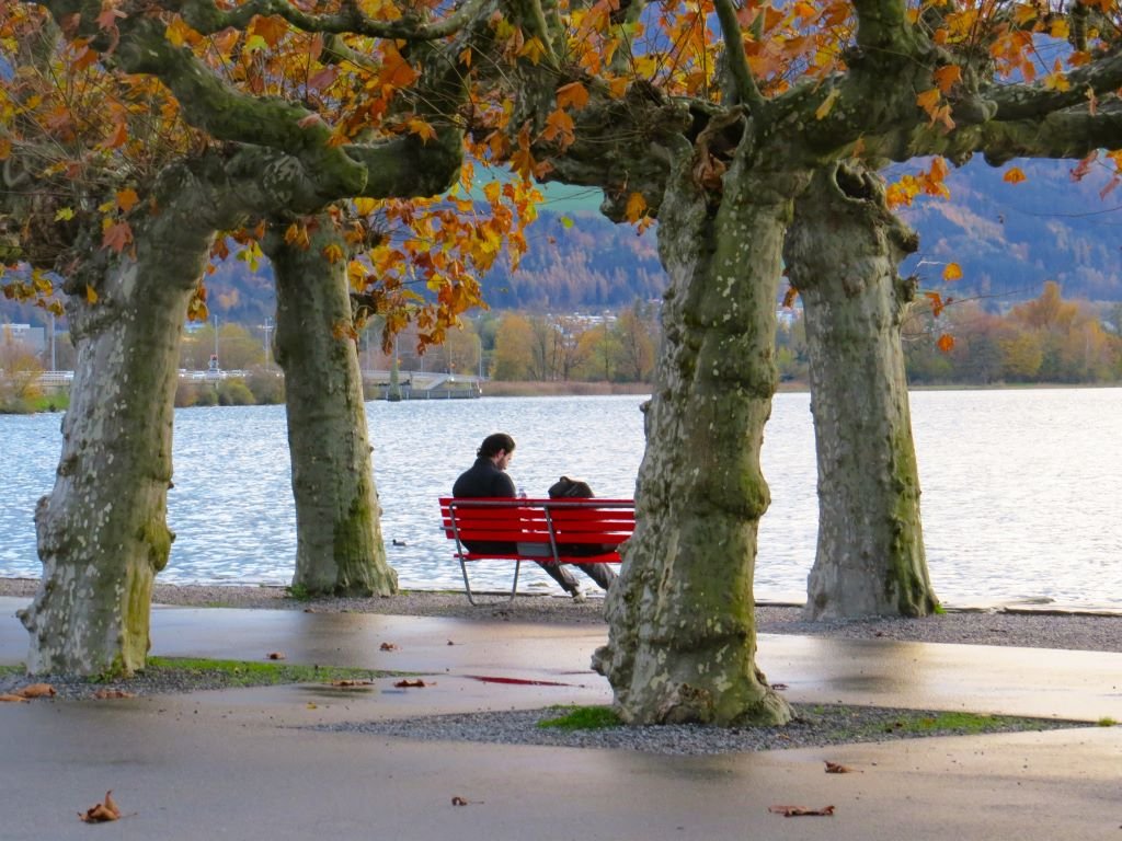 Vista do Lago de Zurich em Rapperswil