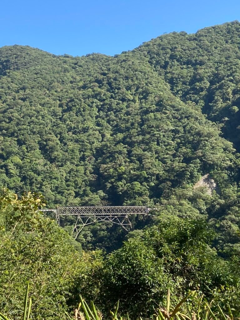Passeio de trem em morretes