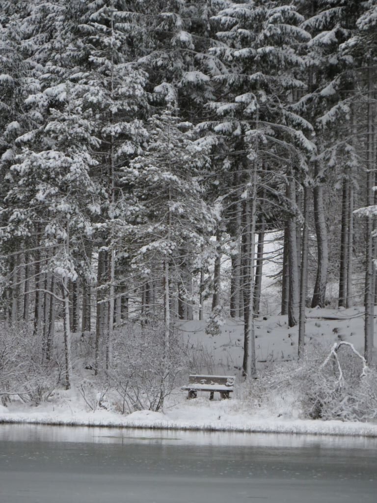 Lagos trentino alto adige